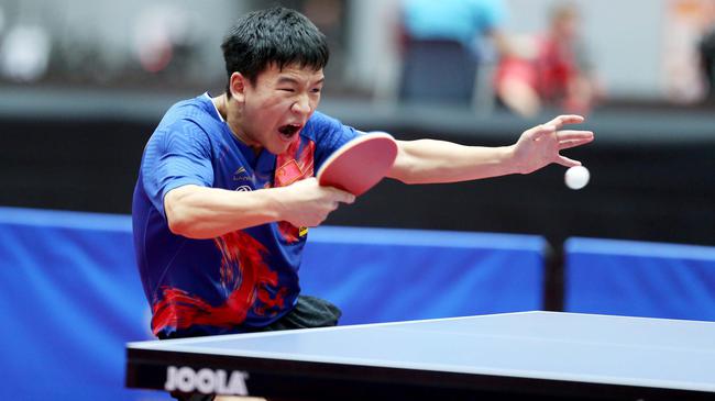 况上表现亮 况上表现亮